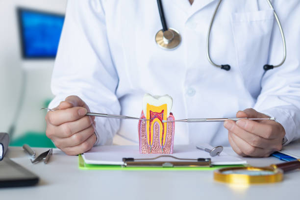 Best Emergency Treatment for Toothache in University Gardens, NY